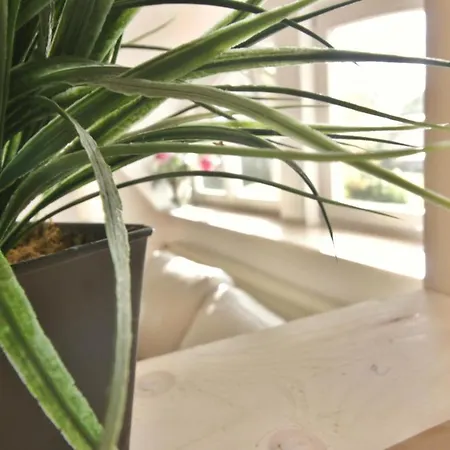 Apartment Nordseelounge